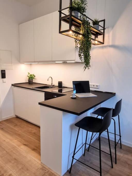 Modernes Apartment קרלסרוהה מראה חיצוני תמונה